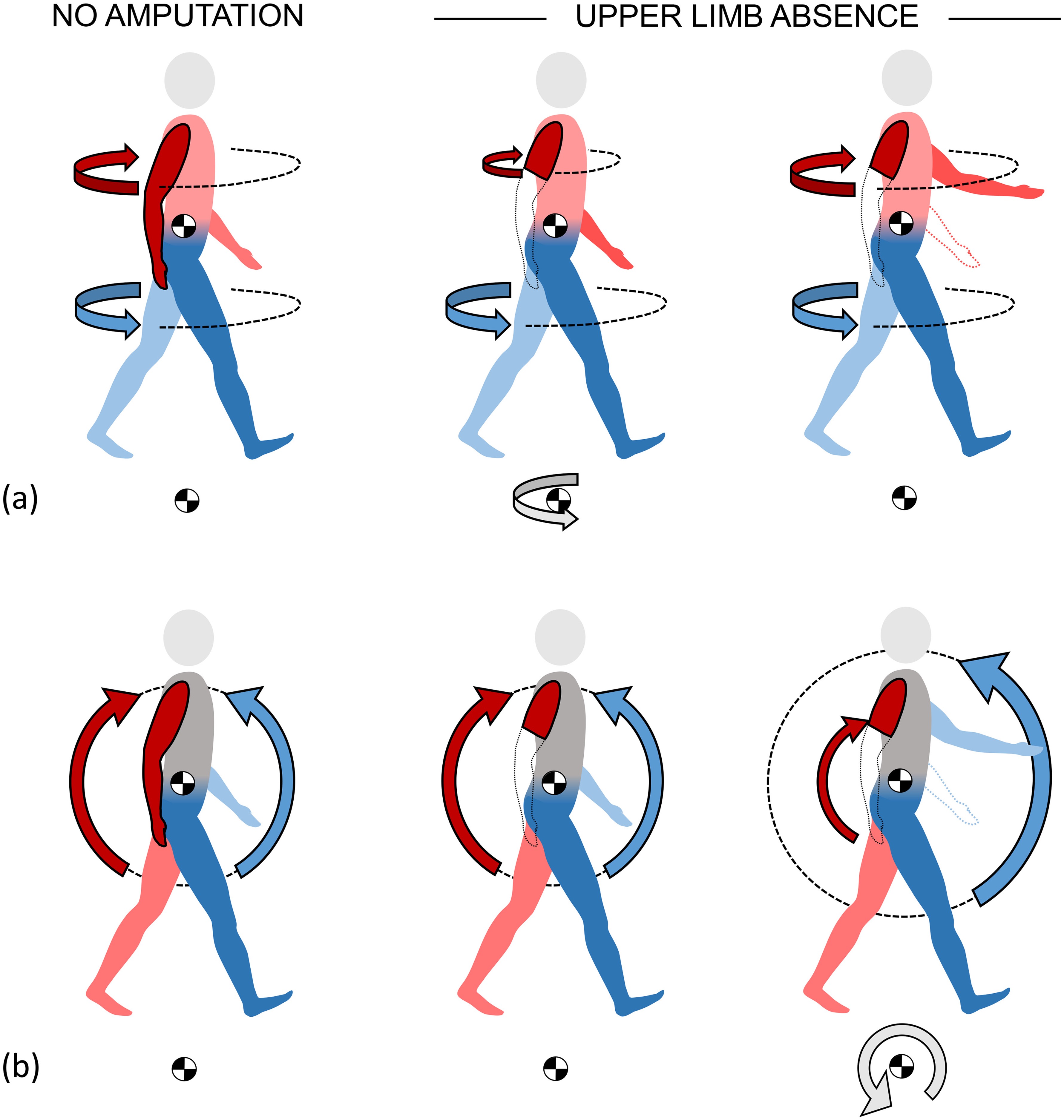 Arm Swing Diagram